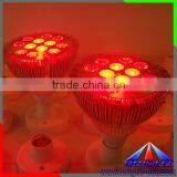 12W LED Par38 Light With RGB Controller