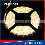 CE ROHS 3 Years Warranty Low Voltage 3528 SMD Multicolor 12 Volt LED Light Strips