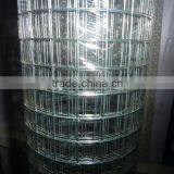 Hot Dipped Galvanized Aviary Mesh/Welded Wire Mesh