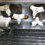 Tropical Blister Packing Machine DPP250FIII thumbnail-5