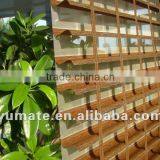 New Popular Verman Blind