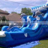 Hola Giant Dolphin Inlfatable Water Slide for Sale thumbnail-2