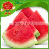 Cryogenic Transportation Wholesale Watermelon Fresh Watermelon on Sale thumbnail-4