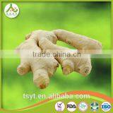 Chinese Fresh Fat Giant Big Natural Mature Ginger thumbnail-2