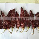 Chinese ISO , HACCP, HALAL Certificates High Purity Water Washed Paprika For Mexico Market thumbnail-3