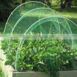 Plant Support, Flower Support Netting