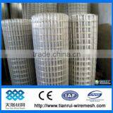Galvanized Welded Wire Mesh for India Market