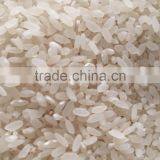 Grain Polisher thumbnail-4