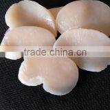 Frozen Scallop High Quality Pen Scallop for Sale thumbnail-3