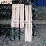 Top Supplier Round Wood Poles for Brooms and Mops thumbnail-3