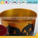 Garden Unique Powder Coated Iron Coloured Plant Pots Colourful Plant Pots thumbnail-4