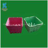 Environmental Biodegradable Paper Pulp Mold Fruit Packaging Tray
