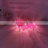 2020 New Product Cool And Refreshing Summer 2AA Battery Operated Fairy Popsicles String Light For Decoration