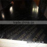 2014 High Quality Shandong Film Faced Plywood Manufacturer thumbnail-1