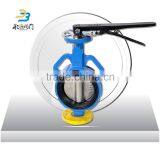 4 Inch Wafer Universal Butterfly Valve Manufacturers thumbnail-4