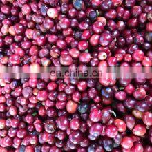 Coffee Beans thumbnail-2