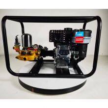 170F 4 Stroke Frame Type Portable Agricultural 22mm Htp Piston Pump Petrol Gasoline Power Sprayer thumbnail-2