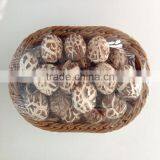 Dried Lentinus Edodes Shiitake