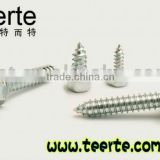International Selling Prices indented hex Roofing Screw                        
                                                Quality Choice