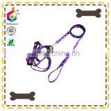 Customized Ajustable Nylon Rope Dog Leashes thumbnail-2