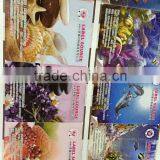 High Quality Roll to Roll Sticker Label Printer Four Colour Adhesive Label Printing Machine