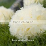 Top Quality Tremella Chinese White Fungus
