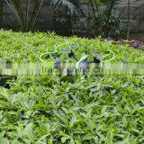 Hobby King 3.5CH rc Helicopter Double Horse 9053 thumbnail-3