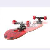 Freerider Skate Cycle Skateboard Canadian Maple Complete 4 Wheel Skateboard Longboard Skateboard Complete CE Cetification thumbnail-2