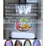 BQL-218 Desktop Ice Cream Machine/Ice Cream Machine Gelato Recipes thumbnail-1
