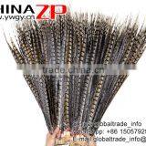 CHINAZP Exporting Wholesale Top Quality Large Natural Beautiful Lady Amherst Pheasant Tail Feathers for DIY thumbnail-2