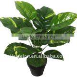 Artificial Scindapsus au Reum