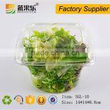 PET Transparent Plastic Vegetable Salad Clamshell Container thumbnail-1