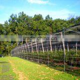HDPE Agriculture Vineyard Plastic Apple Tree Anti Hail Net for Plantations thumbnail-3