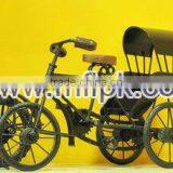 Rickshaw Bike thumbnail-1