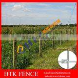 Long Service Life Galvanized Grassland Protection Fence/Farm Fencing thumbnail-1