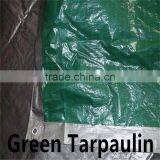 Blue/silver Mesh Tarp thumbnail-4