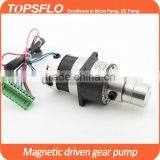 Magnetic Alloy Gear Pump Electric Sprayer Pumps thumbnail-1