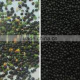 New Products Double Camera LED Light CCD Color Sorter Sorting Machine For Beans thumbnail-4