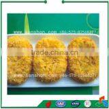 China IQF Spiral Freezer thumbnail-5