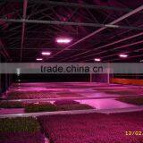 Hot Sell MarsHydro 1600W Greenhouse Veg/Bloom/Flower Cob LED Grow Light Full Spectrum Grow Lamp thumbnail-5