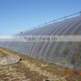 Transparent PE Film Greenhouse Film for Orange Growing thumbnail-1