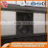 Agriculture Hot Galvanized Steel Frame Glass Greenhouse Cooling System thumbnail-6
