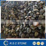 Polished Multicolor Pebble Stone for Sale thumbnail-1