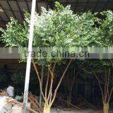 SJ Artificial Banyan Tree With PE Leaves Decoration thumbnail-2