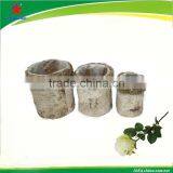 Birch Bark Cylindrical Pot for Plant thumbnail-1