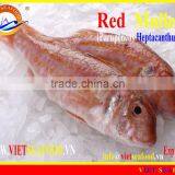WHOLE FROZEN RED MULLET thumbnail-2