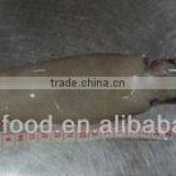 Frozen Argentina Squid thumbnail-1