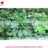 Plastic Garden Design Artificial Indoor Plant Walls thumbnail-5