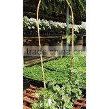 U Shape Bamboo Poles Garden Hoops thumbnail-3