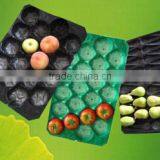 SGS/China/ PP Tray Liners for Fruit thumbnail-3